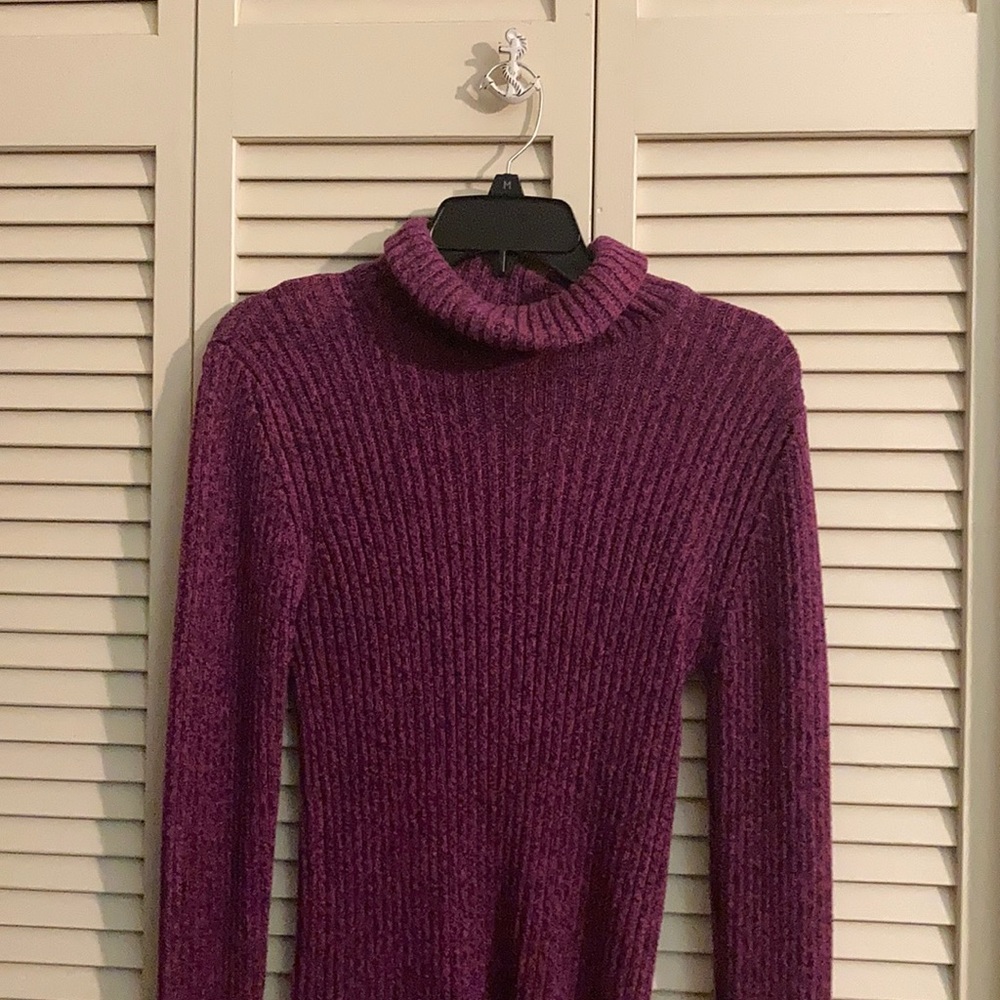 Purplish/pink Faded Glory turtleneck sweater.